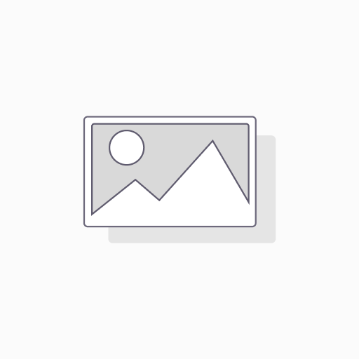 PET TRANSPARENT 0.5X1250X2050 MM