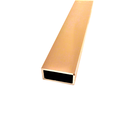 PROFILE STAINLESS STEEL 30x10x2 / GOLD MIRROR 3m
