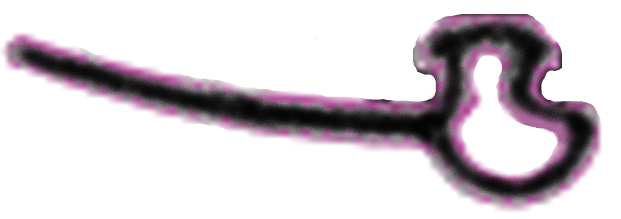 Garnitura acustica de etansare pt profil toc sticla Black 34x61/50mm